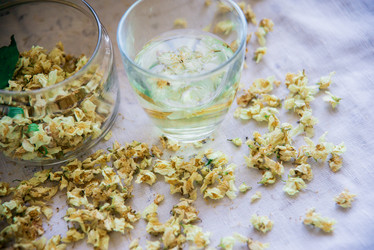 Similar image 13180739