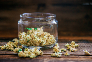 Similar image 13180740