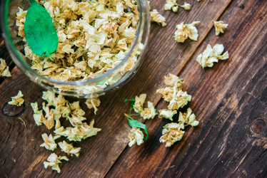 Similar image 13180756