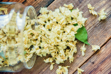 Similar image 13180760