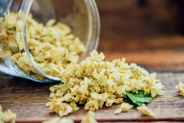 Similar image 13180762