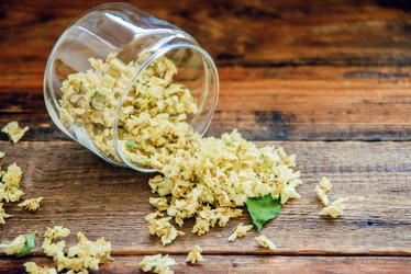 Similar image 13180777