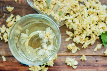 Similar image 13180779