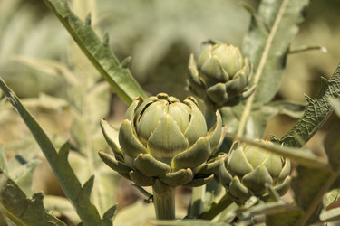 Similar image 13154267