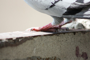 Similar image 13163478