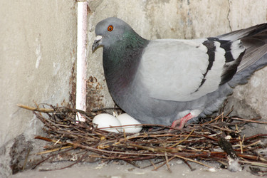 Similar image 13163479