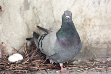 Similar image 13169062