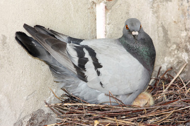 Similar image 13158867