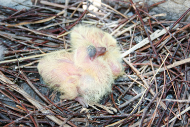 Similar image 13158880