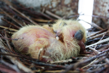 Similar image 13158881