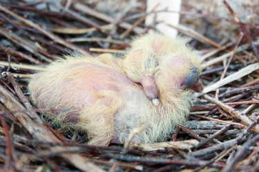 Similar image 13158882