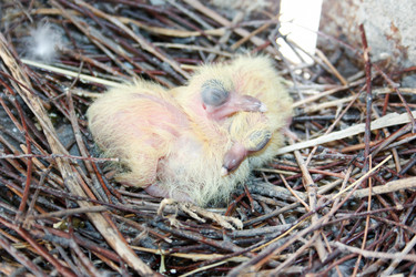 Similar image 13158885