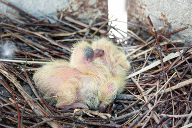 Similar image 13158886