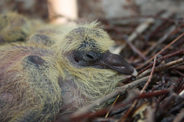 Similar image 13169064