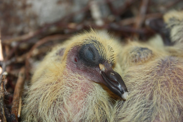 Similar image 13169065