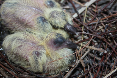 Similar image 13169066