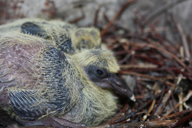 Similar image 13169067