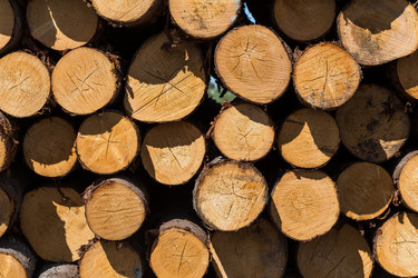 Similar image 13173067