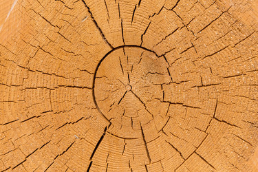 Similar image 13173068