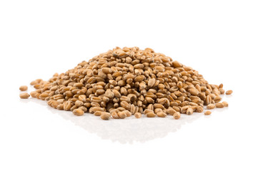 Similar image 13172896