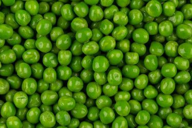 Similar image 13172900