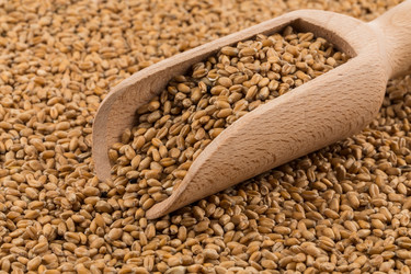 Similar image 13172902