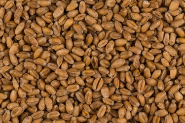 Similar image 13172907