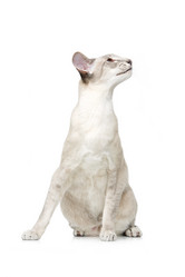 Similar image 13182713