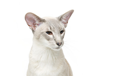 Similar image 13182733