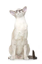 Similar image 13182735