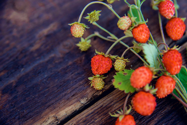 Similar image 13180647