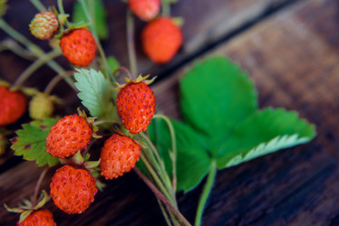 Similar image 13180648