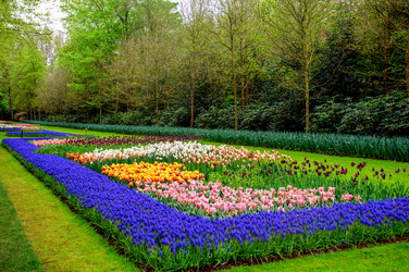 Similar image 13148997