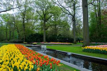 Similar image 13148999