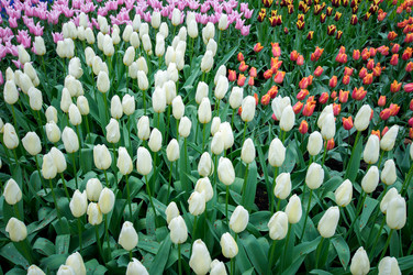 Similar image 13149001