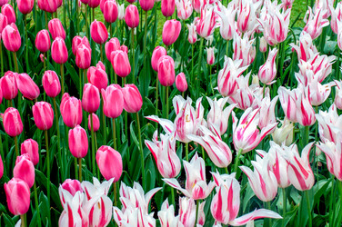 Similar image 13149002