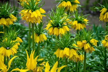 Similar image 13149004