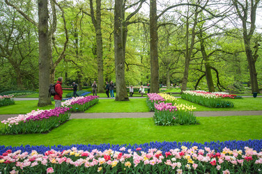 Similar image 13149005