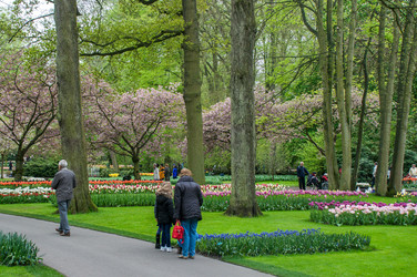 Similar image 13149006