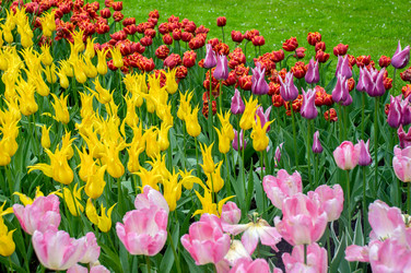 Similar image 13149010