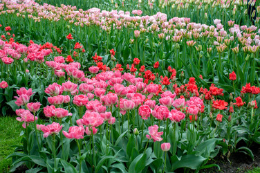 Similar image 13149011