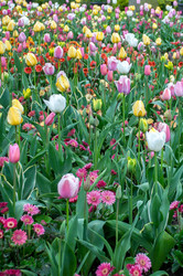 Similar image 13149012