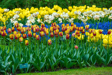 Similar image 13149018