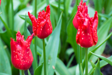 Similar image 13149021