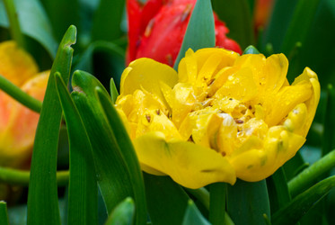 Similar image 13149022