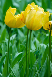 Similar image 13149024