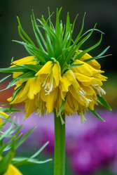 Similar image 13149025