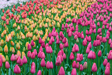 Similar image 13149029