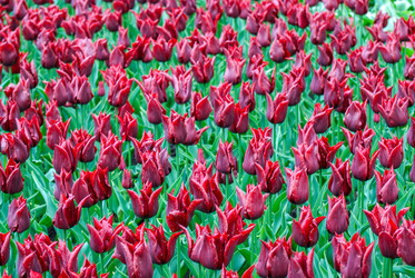 Similar image 13149030