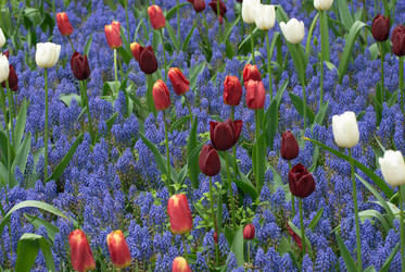 Similar image 13149031